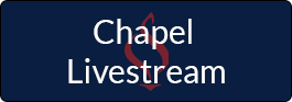 Live Stream Icon